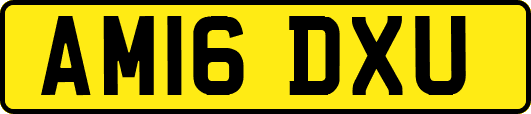 AM16DXU
