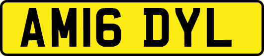 AM16DYL