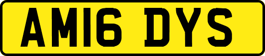 AM16DYS