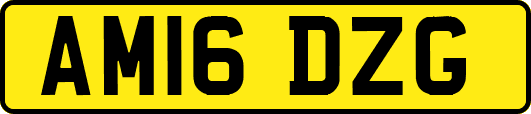AM16DZG