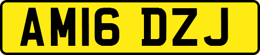 AM16DZJ