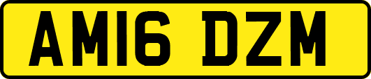AM16DZM
