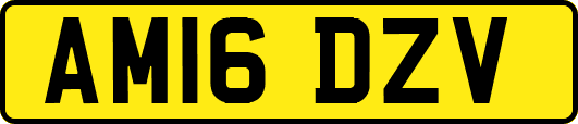 AM16DZV
