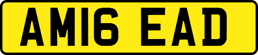 AM16EAD
