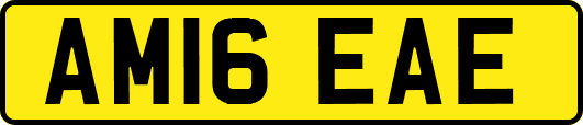 AM16EAE