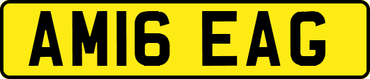 AM16EAG
