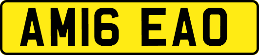 AM16EAO
