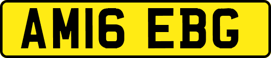 AM16EBG