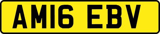 AM16EBV