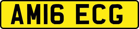 AM16ECG