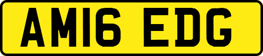 AM16EDG