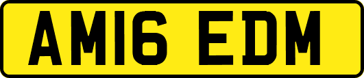 AM16EDM