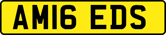 AM16EDS