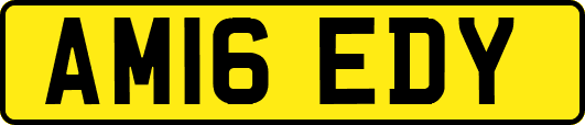 AM16EDY