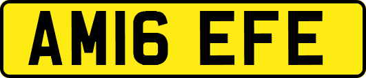 AM16EFE