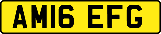 AM16EFG