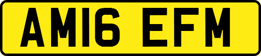 AM16EFM