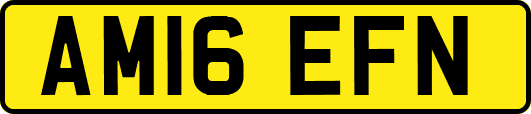 AM16EFN