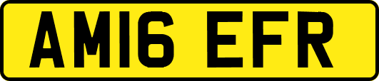 AM16EFR