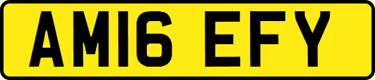 AM16EFY