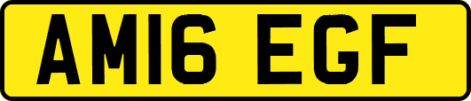 AM16EGF