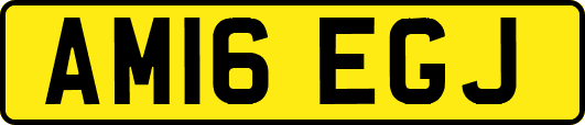 AM16EGJ