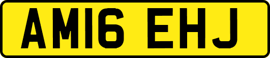 AM16EHJ