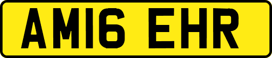 AM16EHR