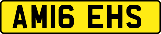 AM16EHS
