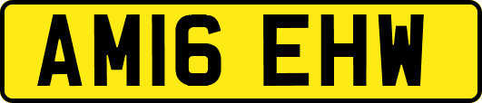 AM16EHW