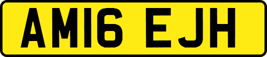 AM16EJH