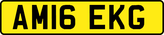 AM16EKG