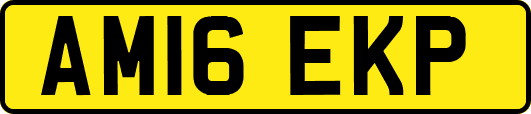 AM16EKP