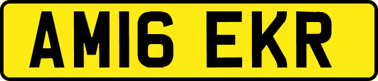 AM16EKR