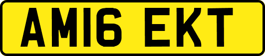 AM16EKT