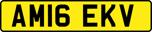 AM16EKV