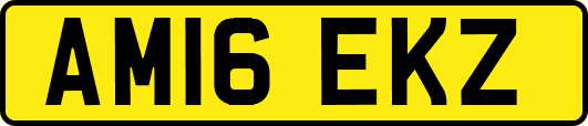 AM16EKZ