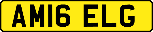 AM16ELG