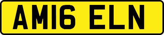 AM16ELN