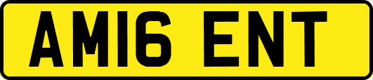 AM16ENT
