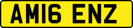 AM16ENZ