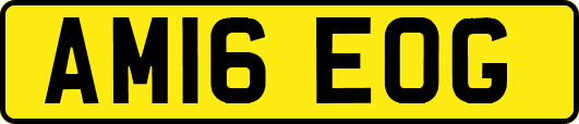 AM16EOG