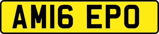 AM16EPO