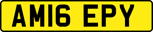 AM16EPY