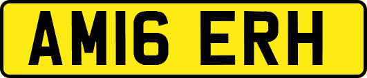 AM16ERH