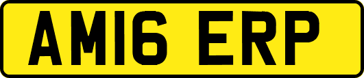 AM16ERP