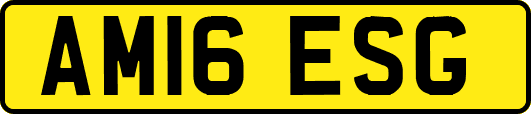 AM16ESG