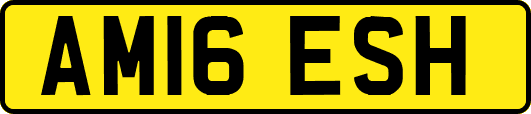 AM16ESH