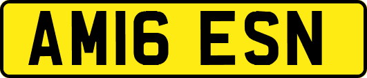 AM16ESN