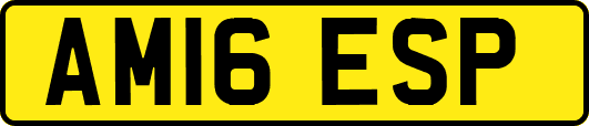 AM16ESP